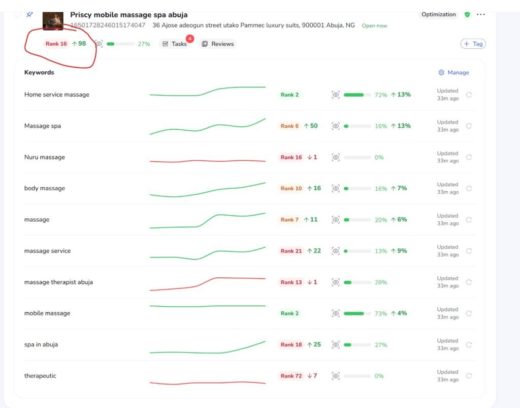 SEO ranking results after optimization showing improved Google rankings